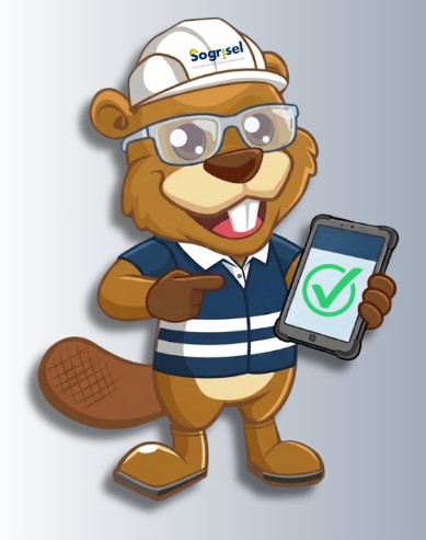 ASESORÍA EN SISTEMA DE GESTIÓN DE SEGURIDAD VIAL (PESV / ISO 39001)