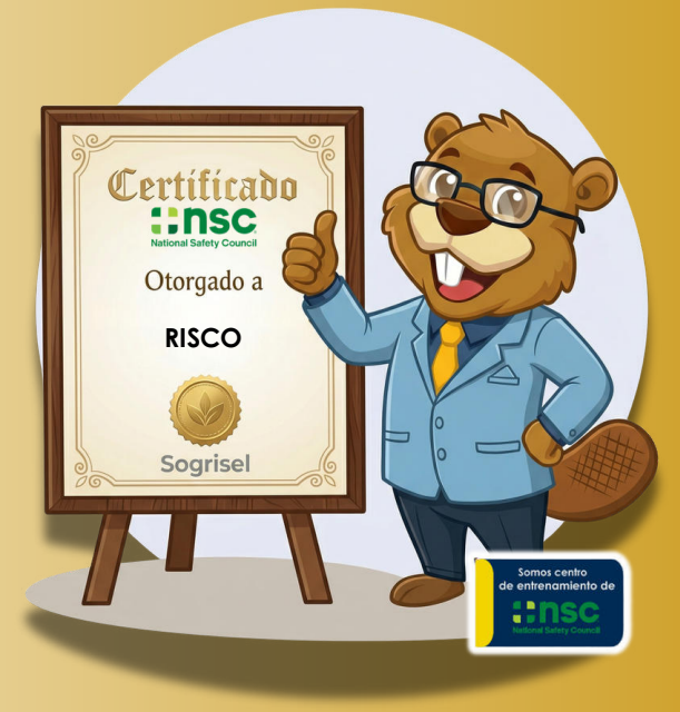 CURSO INTERNACIONAL CERTIFICADO POSH: PRINCIPIOS DE SEGURIDAD Y SALUD OCUPACIONAL
